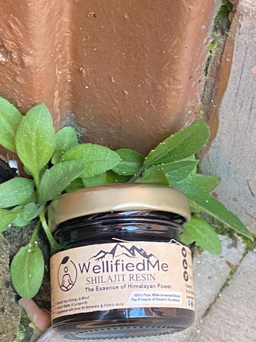 WellifiedMe™ Himalayan Shilajit – Combo Offer’s 1+1 FREE